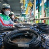 ADB raises Vietnam’s economic growth forecast to 7.5%