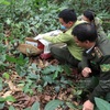 President calls for joint efforts to preserve and uphold the values of Cuc Phuong National Park