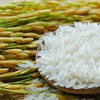 3 provinces to receive rice support for Lunar New Year