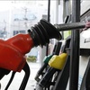Ministry gives solutions to stabilize oil and gas prices