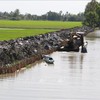 Saline intrusion increases in Mekong Delta
