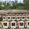 Soldiers’ remains repatriation team in An Giang honoured