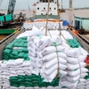 Rice exports to Europe grow strongly
