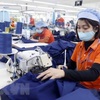 Textile - garment sector sees strong growth