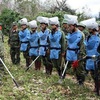 Vietnam shares experience in post-war landmine clearing