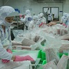 Vietnam strives to expand markets for seafood exports