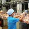 Vietnam earns nearly 1 billion USD from exporting animals, animal products