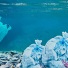 TV program 'White Pollution': changing awareness of plastic waste and pollution