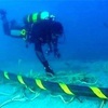 Vietnam needs at least 2-3 more undersea cable routes: official
