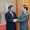 Vietnamese, Lao legislatures consolidate close ties
