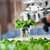 Application of AI technology to develop modern and sustainable agriculture