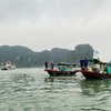 Floating styrofoam buoys in Ha Long Bay collected