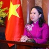 Vietnam - UAE cooperation to enter new development stage: ambassador