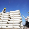 Vietnam exports more than 1.85 million tonnes of rice in Q1
