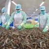 Vietnam joins Seafood Expo Global in Spain