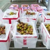 China welcomes Vietnam’s early-ripening lychees