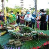 Programme honours colours of Vietnamese ethnic groups