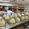 Vietnamese bird’s nests see opportunities to enter Chinese market