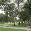 HCM City plans to have more urban green space