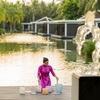 Experience healing with world-renowned practitioners and “Wellness Recharge”