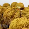 Durian export brings home 1.63 billion USD in 9 months