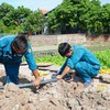 Quang Ninh strives to increase clean water access