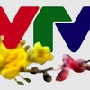New Year 2024 special programs on VTV8