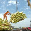 Vietnam remains biggest rice provider of Philippines