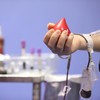 World Blood Donor Day: Sharing love, giving life