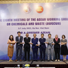 ​Eighth ASEAN Working Group on Chemicals and Waste meeting opens in Hanoi