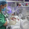 Vietnam sess great strides in saving extremely premature low weight infants