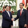 Vietnam, Indonesia eye comprehensive strategic partnership
