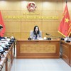 Vietnamese language training to get due attention among OVs: official
