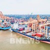 Seaport container handling fees to be adjusted from mid-February 2024