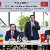 Huge potential for cooperation between Vietnamese, Romanian localities: PM
