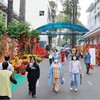Flower streets bring spring to patients in HCM City