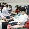 Ha Nam collects over 6,000 blood units during Red Spring Festival