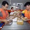 Vietnam expected to become e-commerce powerhouse in Southeast Asia