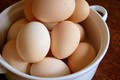 https://vtv1.mediacdn.vn/thumb_w/630/2015/5-eggs-briannalehman-flickr-1442913746605.jpg