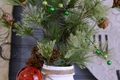 https://vtv1.mediacdn.vn/thumb_w/630/2015/mini-christmas-tree-holder-1445852580172.jpg