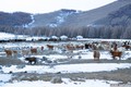 https://vtv1.mediacdn.vn/thumb_w/630/2015/travelling-in-mongolian-wilderness-away-from-the-city-stress-and-tech-driven-style-13-880-1448439990735.jpg