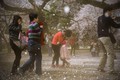 https://vtv1.mediacdn.vn/thumb_w/630/2016/spring-japan-cherry-blossoms-national-geographics-171-1458807772509.jpg