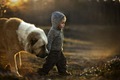 https://vtv1.mediacdn.vn/thumb_w/630/Uploaded/quangphat/2014_01_21/Cute-Animal-and-Cute-Kid-by-Elena-Shumilova-Infographic-BLOG-18.jpg