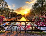 Trải nghiệm du lịch chia sẻ tại Amsterdam, Hà Lan