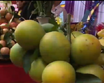 Lễ hội cam Cao Phong lần thứ nhất tiêu thụ gần 20 tấn cam