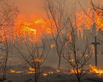 Nga: Cháy rừng kinh hoàng ở Siberia, thiêu rụi 1.000 ngôi nhà