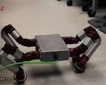 Sử dụng robot rắn trong cứu hộ khẩn cấp