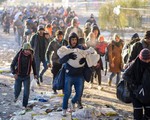 Hơn 1 triệu người di cư tới châu Âu