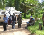 Phiến quân Uganda tấn công CHDC Congo, 24 người thiệt mạng