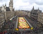 Choáng ngợp với 600.000 bông hoa tạo nên thảm hoa khổng lồ ở Bỉ